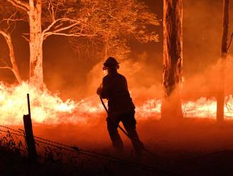 Brandweerman overleden tijdens bestrijden van Australische bosbranden