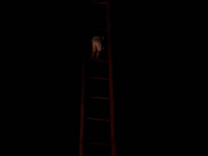 VIDEO. Waaghals beklimt ladder Sint-Jacobskerk in Gent