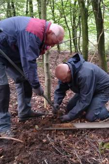 Meer dan duizend oude graven op Veluwe en Utrechtse Heuvelrug ontdekt: ‘Woonden veel meer mensen dan we dachten’