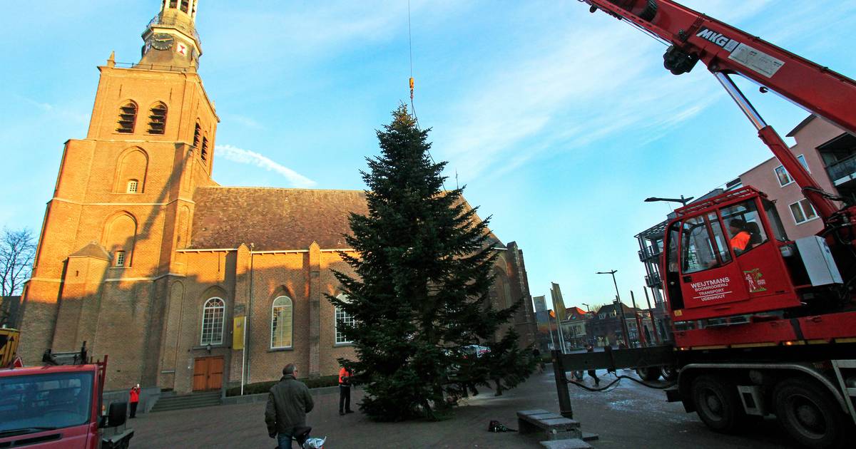 Happy end voor zoektocht naar grote kerstboom in centrum EttenLeur