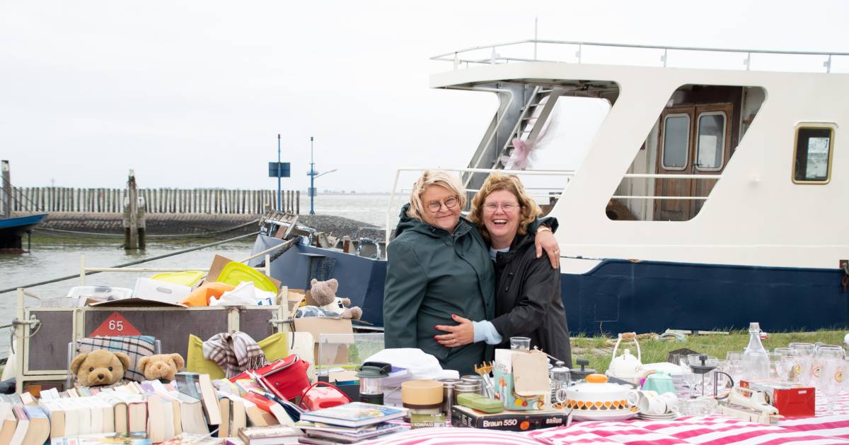 De ene dag op de Havenfeesten in Walsoorden is de andere niet - Provinciale Zeeuwse Courant