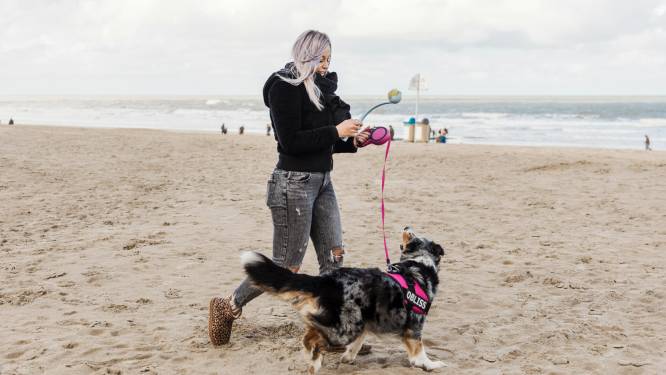 Honden niet meer toegelaten op strand tussen Oosterstaketsel en J. Gadeynehelling