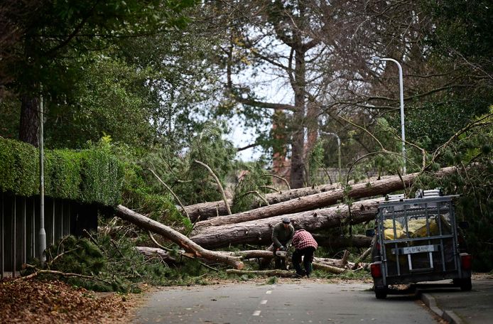 Storm Arwen veroorzaakte veel schade in het Verenigd Koninkrijk