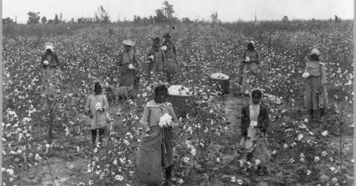 The Role of Slavery in the Growth of the European Cotton Industry