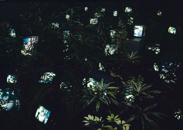 Nam June Paik, ‘TV Garden’ Beeld bpk 