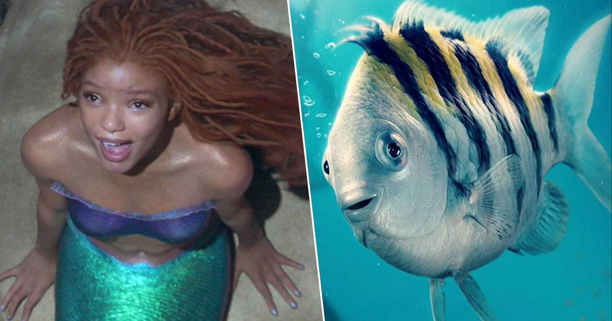 Fans Van 'The Little Mermaid' Weer Niet Te Spreken Over Live-Actionfilm:  “Is Dít Botje?” | Film | Hln.Be