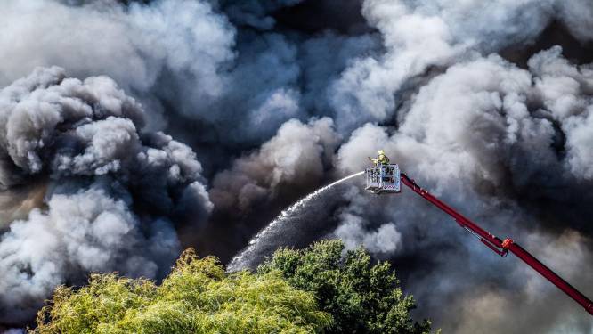 Eigenaar sloopbedrijf aangeslagen door verwoestende brand in Duiven, nablussen gaat nog uren duren