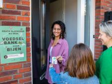 Help de bij: hier haal je gratis bloemzaden in Nijmegen