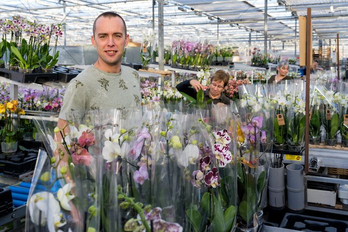 Orchideeënkweker Wilco Verhoeven stopt met zijn bedrijf vanwege de oplopende kosten zoals energie en arbeid.