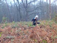 Edelhertenonderzoeker Wobke: ‘De eerste keer ben je op je hoede in onbekend natuurterrein’