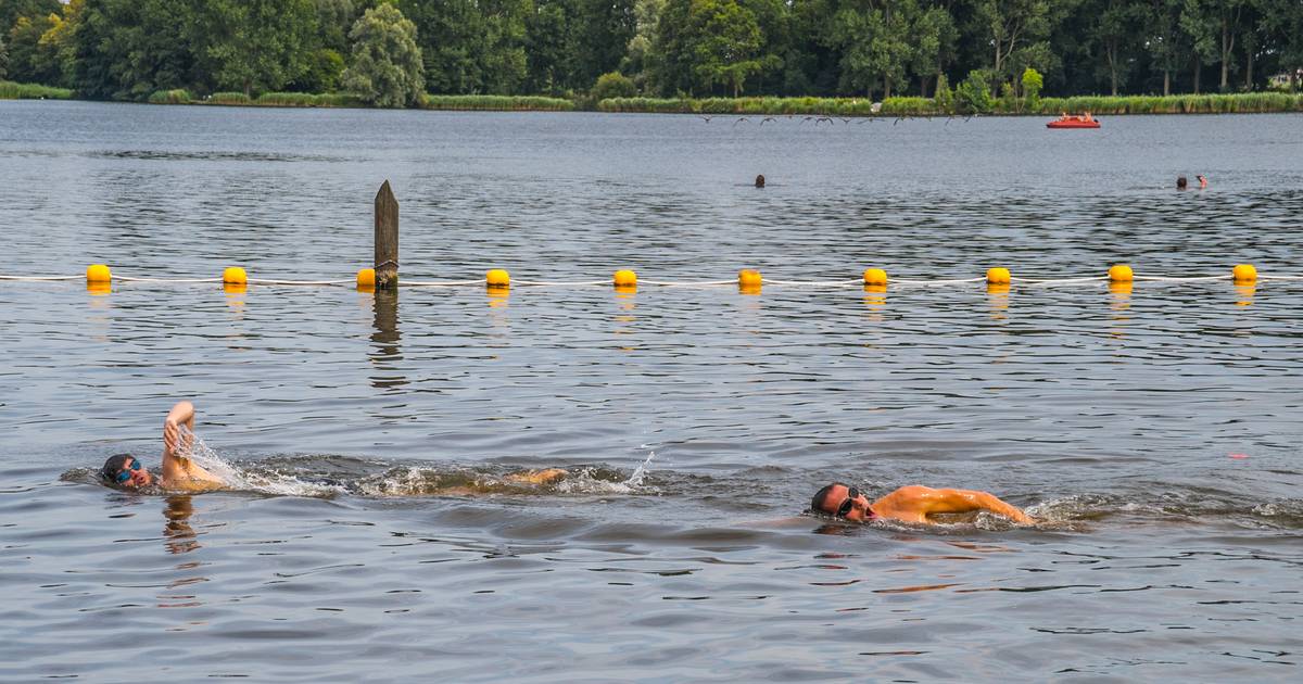 Blauwalg in zwemplas Delftse Hout wordt maandag aangepakt met waterstofperoxide