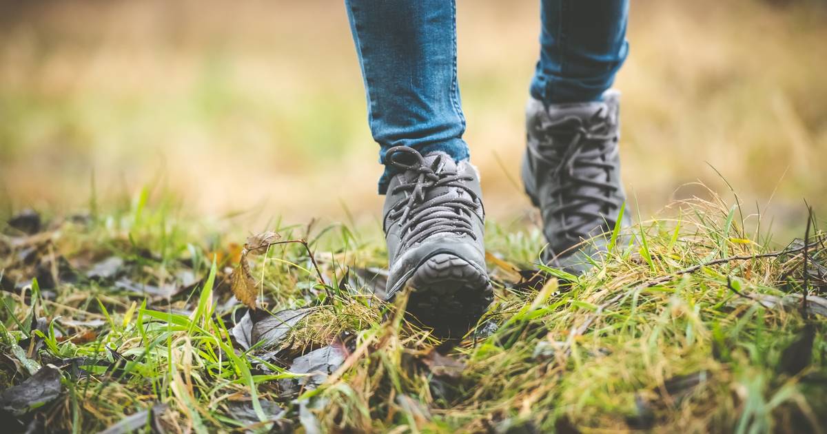 14 en 15 maart: Excursies met Natuurmonumenten in Wolphaartsdijk en Kattendijke