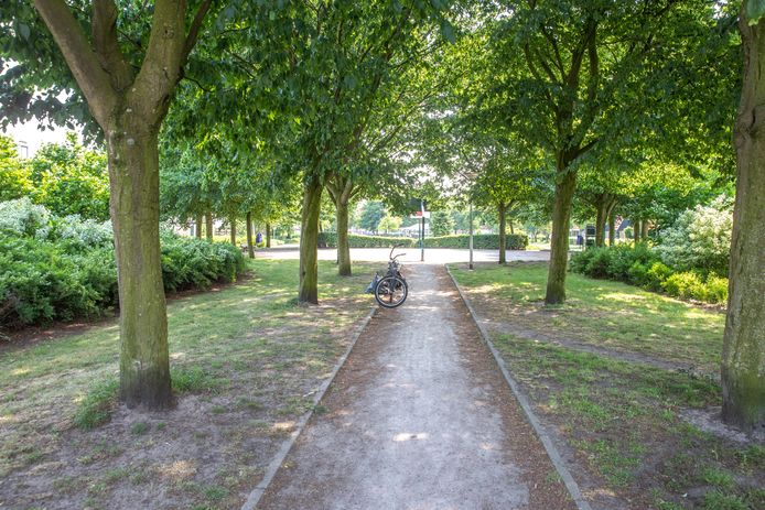 In dit deel van het park zijn de jongens lastig gevallen.