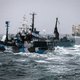 Nederland onderzoekt aanvaring Sea Shepherd en Japanse walvisvaarder