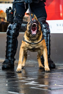 Chaos door zware rellen Eindhoven na anti lockdown demonstraties