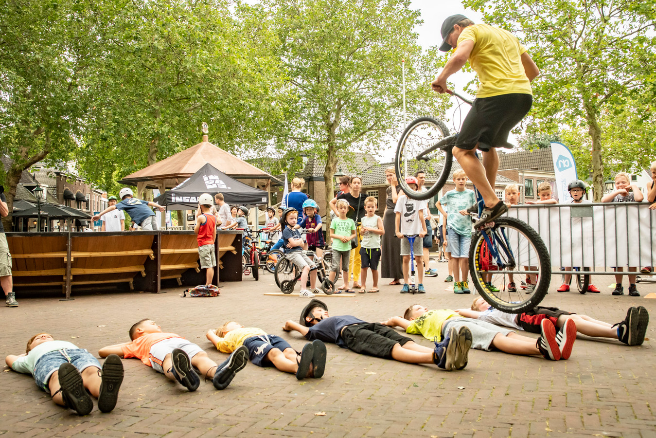 Kinderen overleden wethouder willen referendum ‘Houten moet wel het