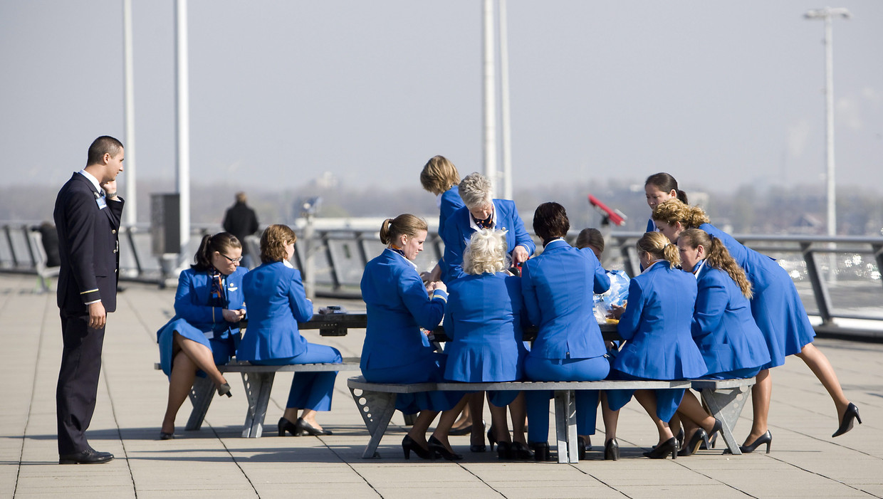 Bevoorrecht fascisme Zuigeling KLM recyclet stewardess-uniformen | Het Parool