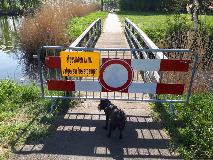 Het voetpad langs de grote vijver aan de noordkant van de wijk Ussen is tijdelijk afgesloten vanwege de ondermijnende activiteiten van een bever.