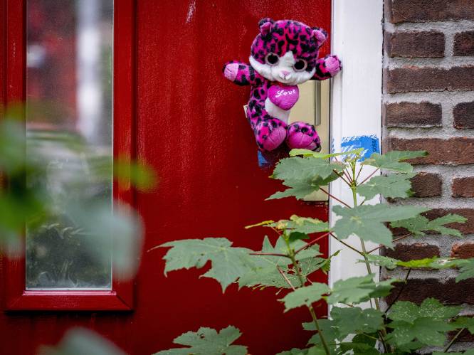 Zwaargewond meisje (10) was volgens pleegouders tot twee maal toe van trap gesprongen, Nederlandse politie vertrouwde het niet