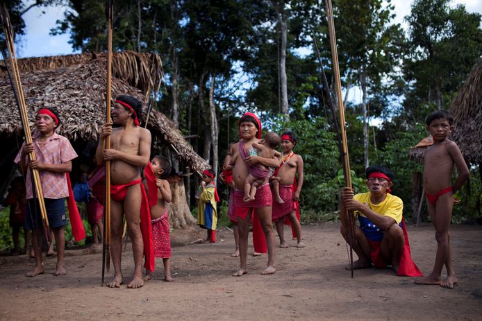 Leden van de inheemse Yanomami-stam voeren een rituele dans uit voor journalisten. Archiefbeeld.