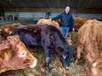 Leon wil eerste kweekvleesboer van Nederland worden: ‘Fantastisch als we dieren niet meer hoeven te slachten’