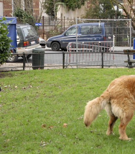 Dénoncer les crottes de chiens non ramassées peut rapporter gros
