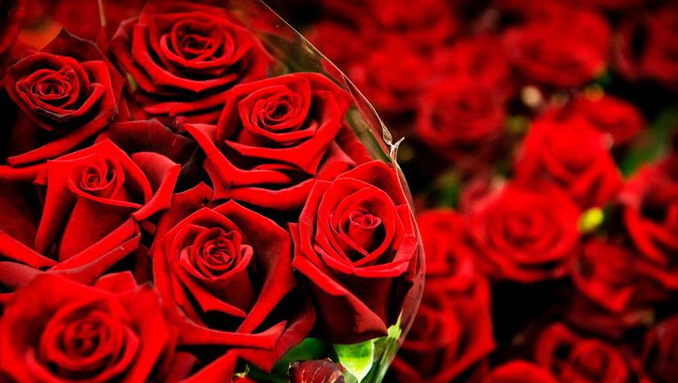 Vergoeding Ass Moreel De leukste events op Valentijnsdag | Het Parool