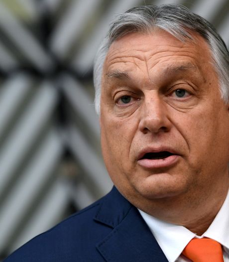 JA21 wil toch niet in zee met partij van Orbán in Europees Parlement