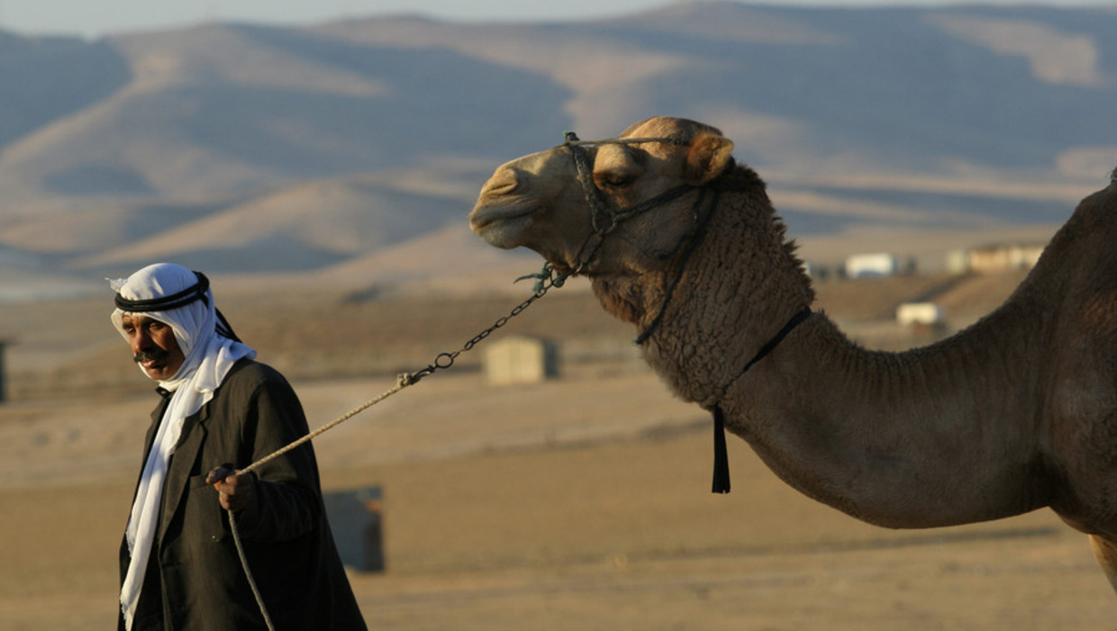 Een bedoeïene in de Negev-woestijn. Beeld AFP