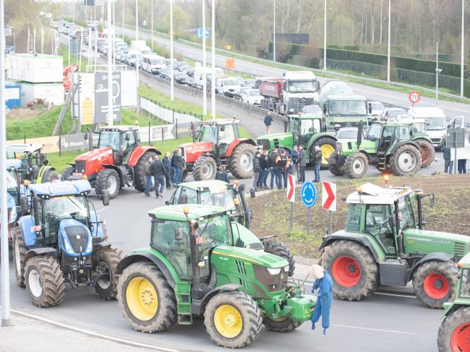VIDEO. Boze landbouwers blokkeren rotonde op N60 in Leupegem uit protest tegen Mestactieplan 6