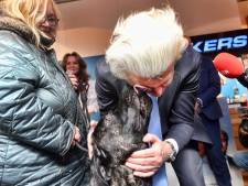 Geert Wilders laat zich in gezicht likken in ‘hometown’ Spijkenisse: ‘PVV doet het hier fantastisch’