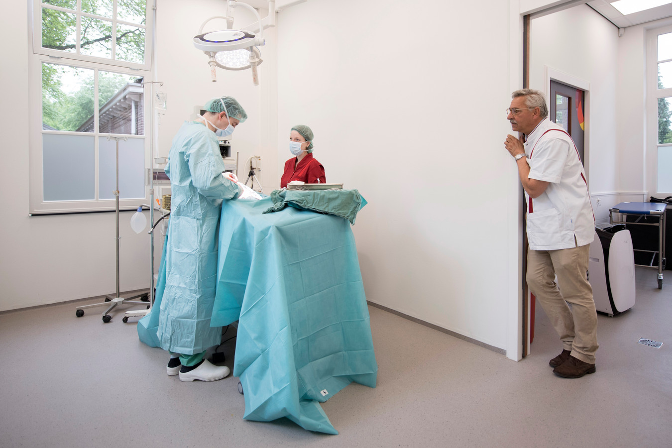 Specialist Hans van Herpen kijkt even om het hoekje tijdens de operatie van hond Gio uitgevoerd door zijn collega Ceriel Maas en assistent Irma Blom.