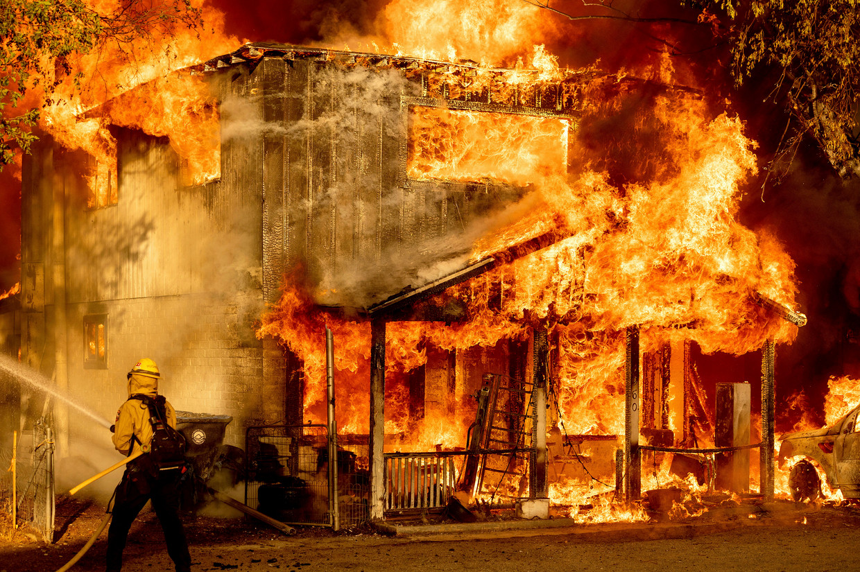 Een brandweerman bestrijdt de Sugar Fire, dat deel uitmaakt van het Beckwourth Complex Fire in Doyle, Californië. Beeld AP
