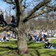 Amsterdam wil alcohol en lachgas verbieden bij drukte in parken