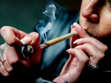 Kans op coffeeshop in Dronten? GroenLinks en PvdA willen onderzoek: ‘Hét middel tegen straatdealers’ 