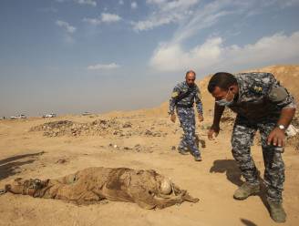 Meer dan 200 massagraven en duizend lichamen ontdekt in Irak: resultaat van meedogenloze geweld van IS