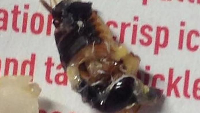 Een Nieuw-Zeelandse vrouw vond een kakkerlak in een hamburger.