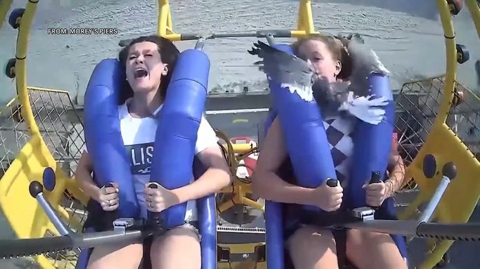 Alors qu'elle s'élançait dans les airs à plus de 120 km/h,une adolescente s'est retrouvée face à face avec une mouette.