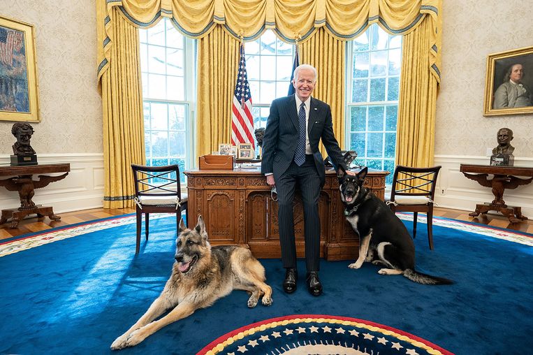 President Joe Biden met zijn honden Champ en Major in de Oval Office, in februari dit jaar. 	 Beeld Adam Schultz / The White House