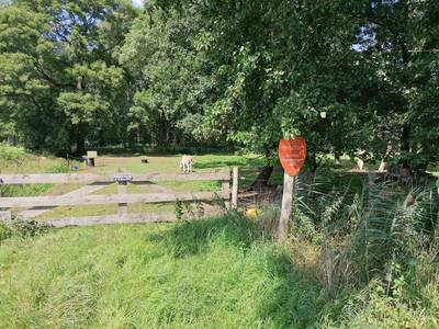 Natuur, cultuur en historie komen samen bij Bach-wandeling in Wellenseind