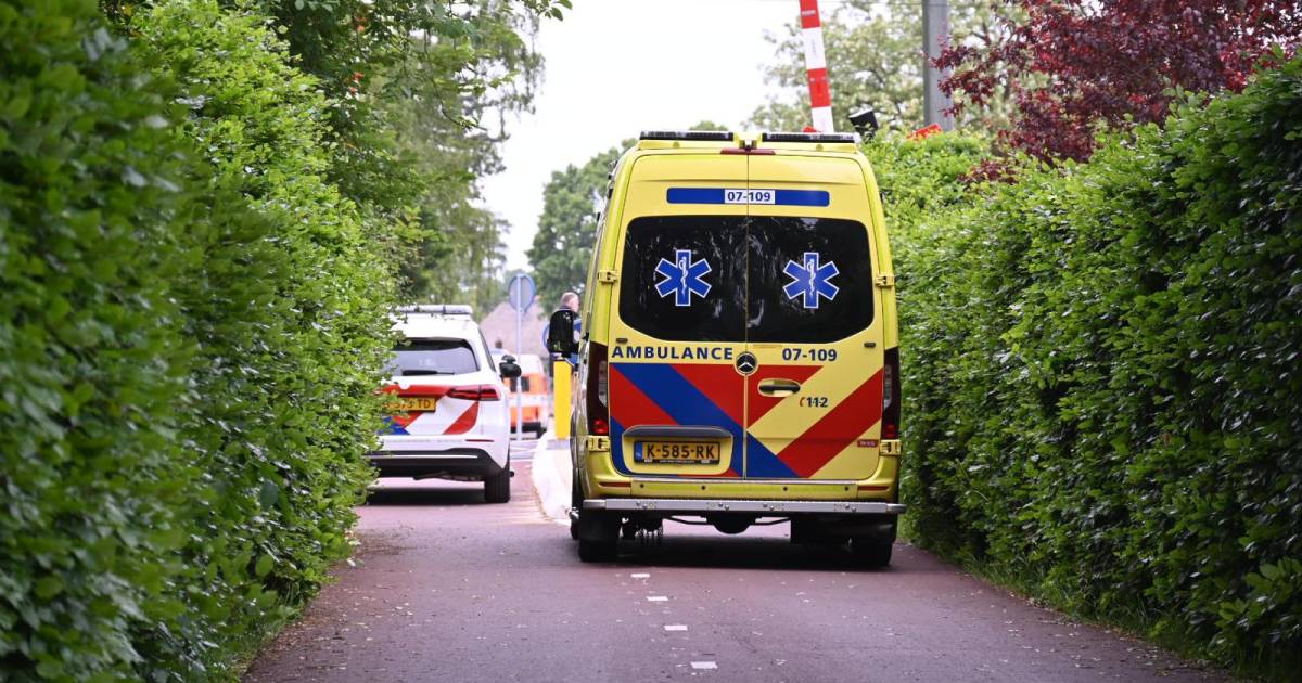 Geen treinen tussen Tilburg en Breda door aanrijding op het spoor.