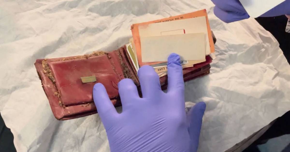 Lost wallet in US found hidden after 65 years: 'Portal back in time' |  Strange