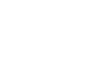 VTM GOLD