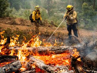 Brand in Californië blijft woeden: bijna 6.800 hectare bos afgebrand