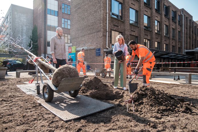 Op het Stedelijk Lyceum Lamorinière plantte schepen voor Groen Els Van Doesburg (N-VA) alvast de eerste bomen mee.