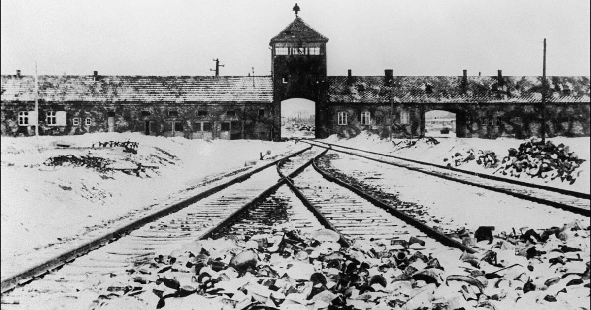 Wat Gebeurde Er Met De Ss Er Die De Holocaust Mogelijk Maakte Buitenland Ad Nl