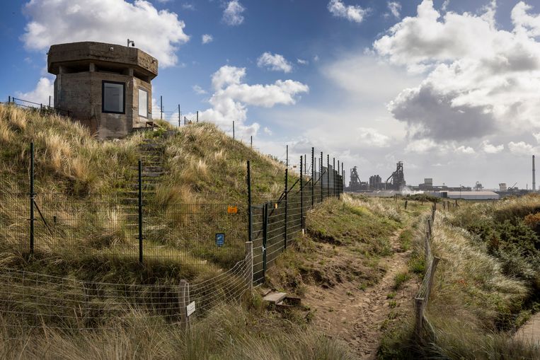 Tata Steel, in IJmuiden ook wel bekend als de ‘wolkenfabriek’. Beeld Werry Crone