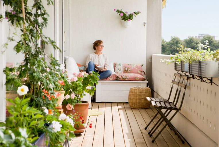 Alsjeblieft kijk Leidinggevende park Ijzersterk: déze planten doen het goed op je balkon I Margriet