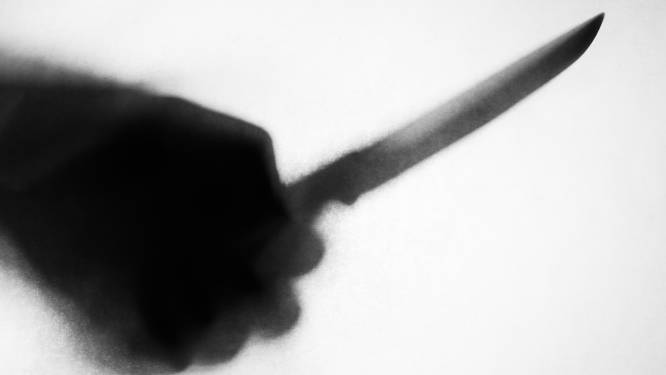 Poging tot zware mishandeling maar geen poging doodslag: Litouwer (48) krijgt vier maanden cel voor insteken op kamergenoot in Veenendaal
