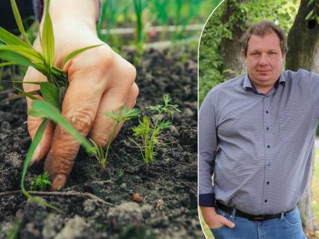 Un expert en jardin donne conseils pour les travaux de jardinage pour le mois de juin